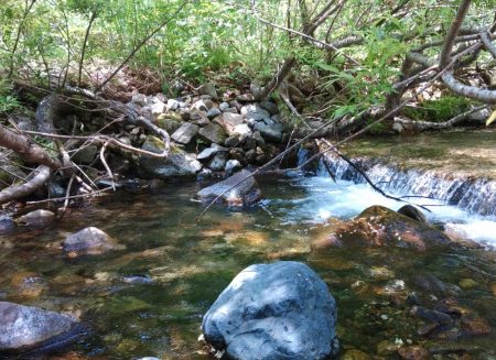 鱒レンジャーを持ってイワナの谷へ